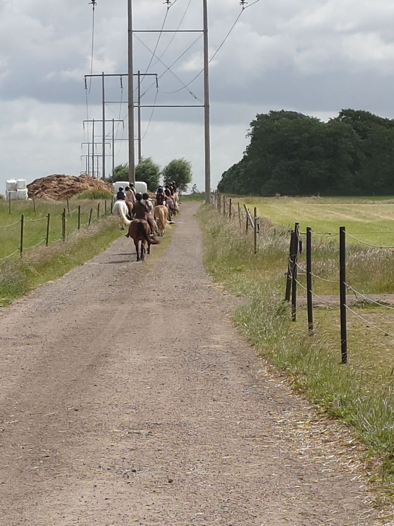 20250619_1049287268520409582627545